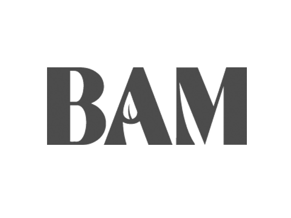 BAM logo